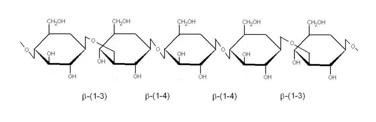 ukazka-struktury-β-glukanu-opt