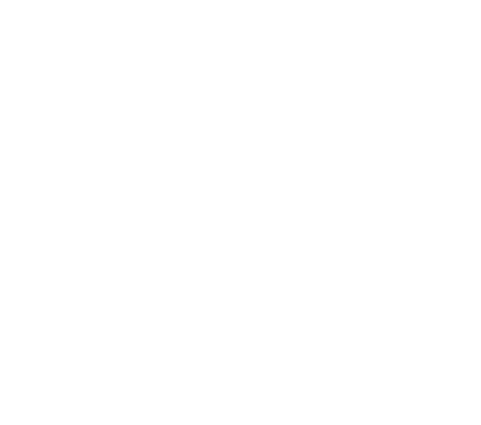 Los Medvidkos