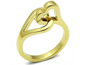 PR6254GOC dve srdiecka ocelovy prsten