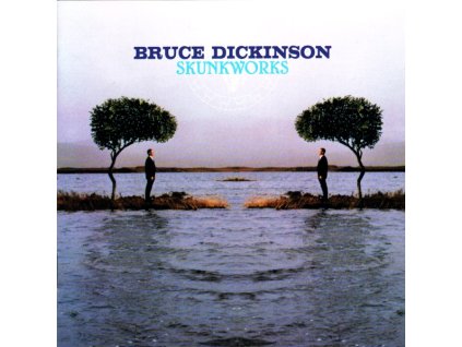 cd bruce dickinson skunkworks