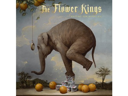 cd the flower kings waiting for miracles