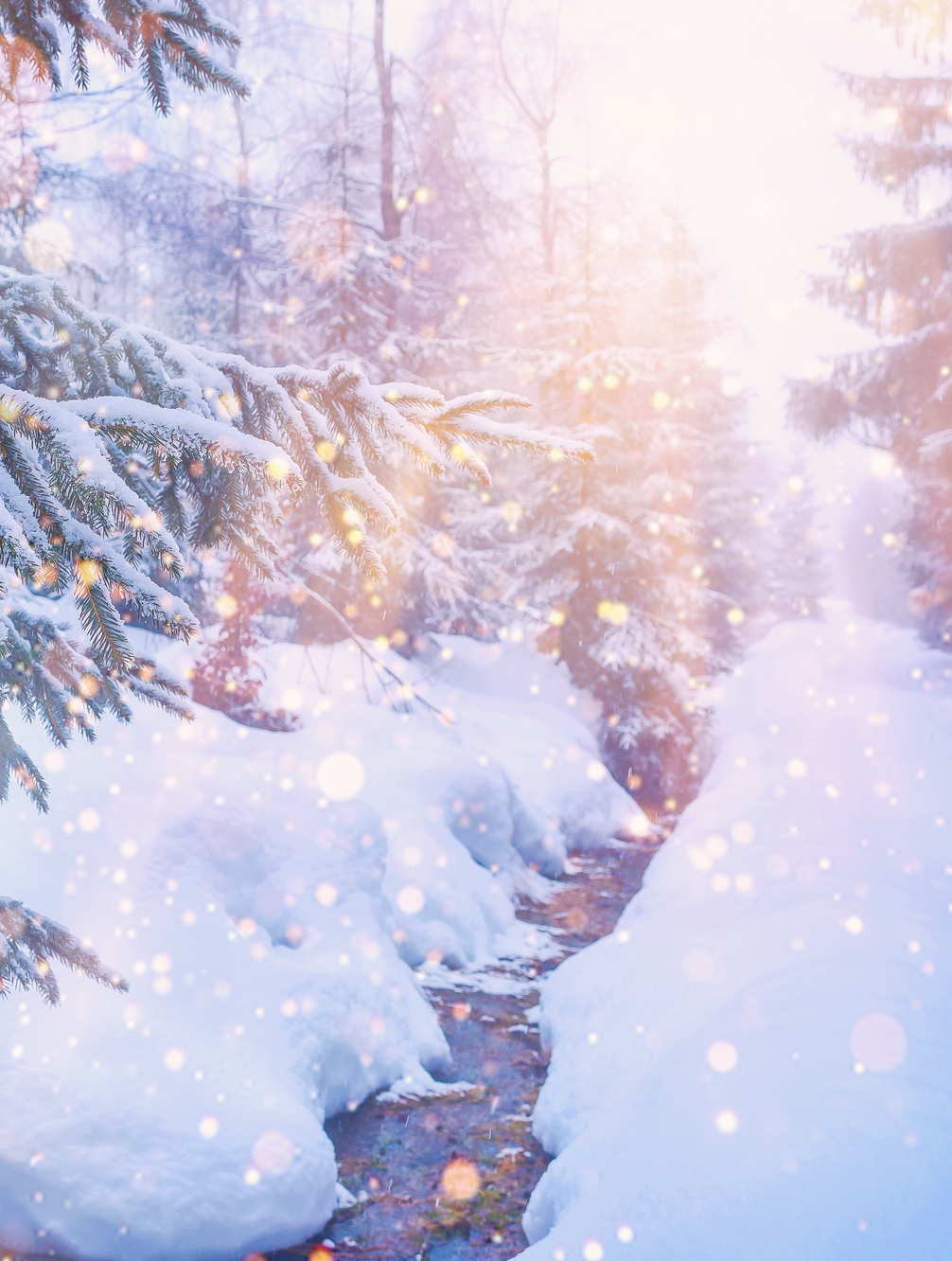 ✨🎄❄️ZIMNÍ SLUNOVRAT A SMRK❄️🎄✨