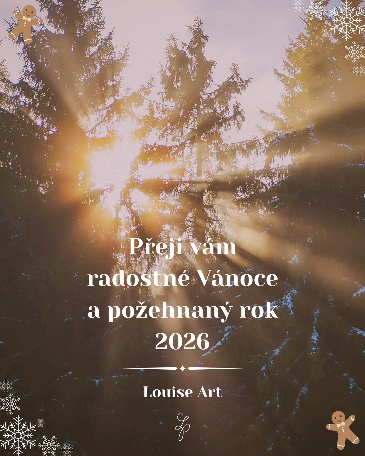 🌟PŘÁNÍ K VÁNOCŮM A PRO NOVÝ ROK 2026🌟