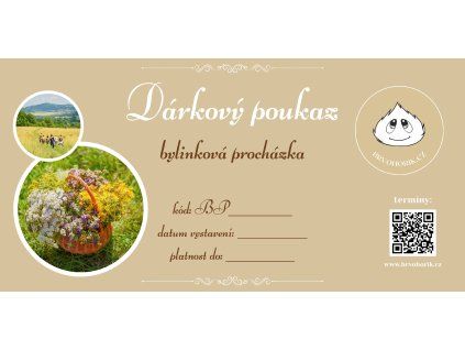 DARKOVY POUKAZ BYLINKOVA PROCHAZKA