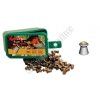 Gamo Rocket cal. 5,5 - 100ks