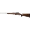 Mauser 25 Pure