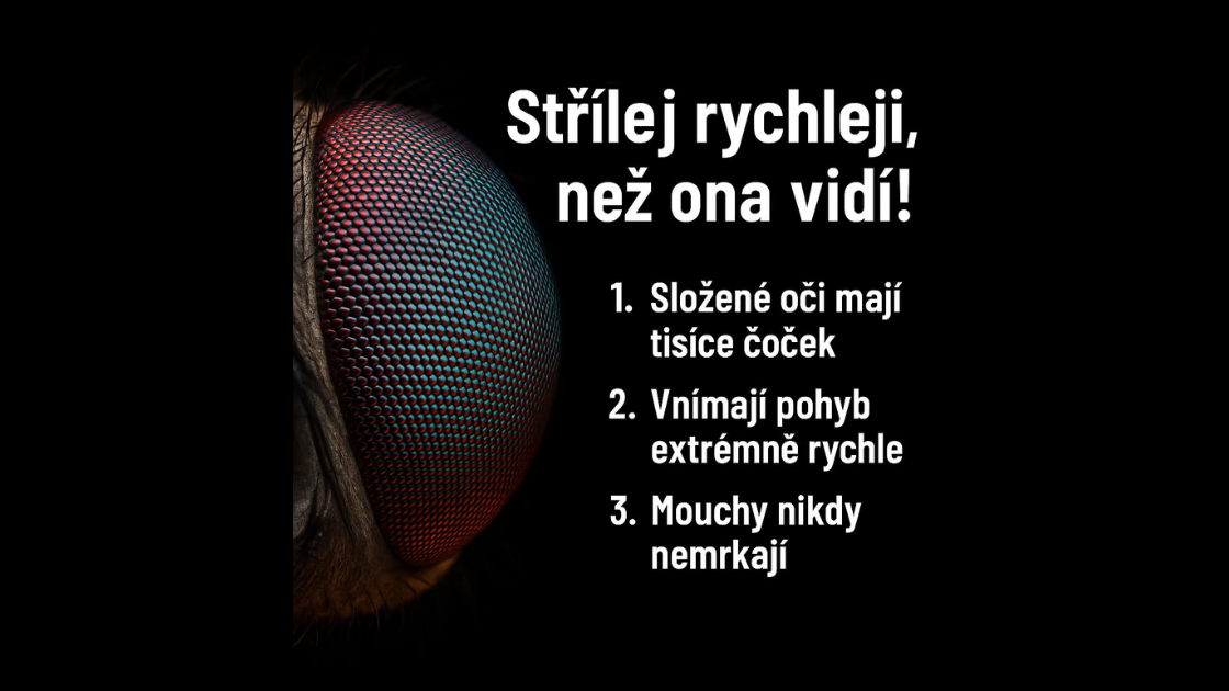 Střílej rychleji, než moucha vidí