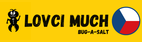 Lovci much