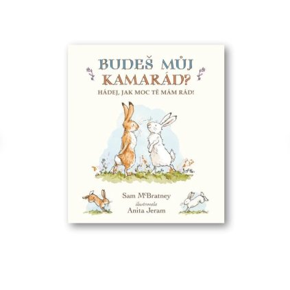 Snímek obrazovky 2025 02 13 v 11.42.59