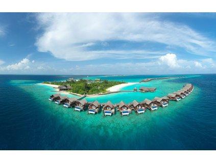 enjoy the housereef with