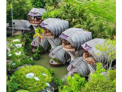 do you believe this place