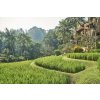 Four Seasons Resort Bali At Sayan