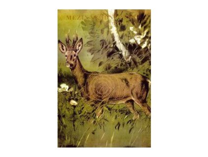 Terč mezinárodní redukovaný SRNEC