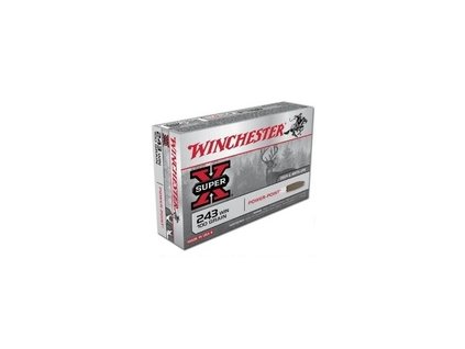 winchester 243 win power point