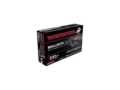 winchester 243 win ballistic silvertip