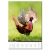 nastenny kalendar 2026 myslivecky kalendar galerie 3 big ies4987549