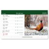 stolni kalendar 2025 myslivecky kalendar galerie 1 big ies4264027