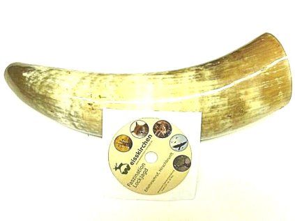 Jelení řevnice Weisskirchen s CD velká