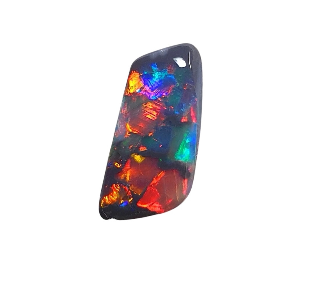 Harlequin-Opal-2