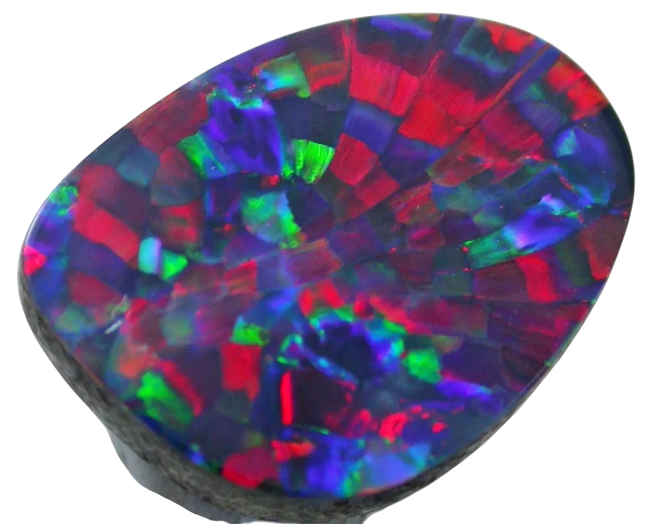 Harlequin-Opal-4