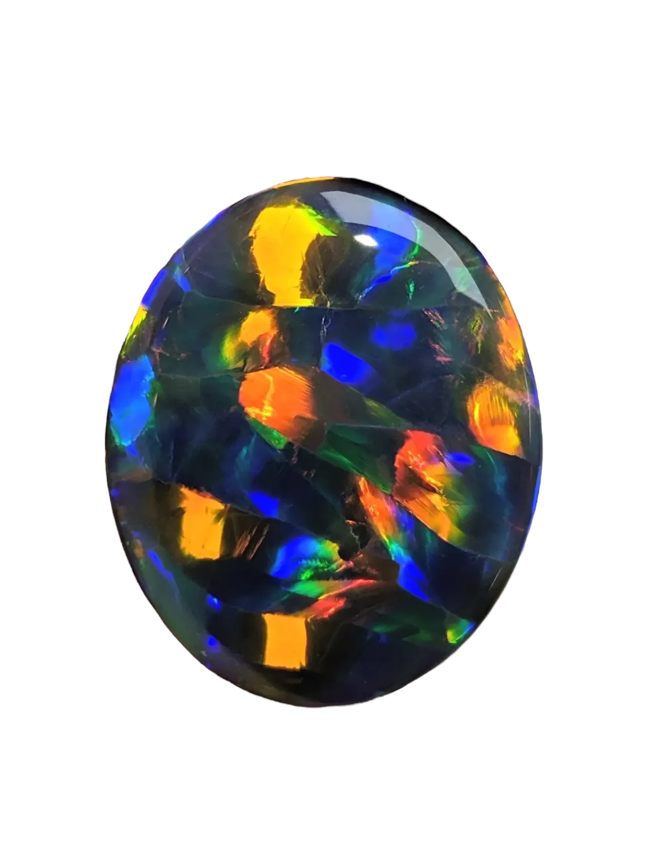 Harlequin-Opal-5
