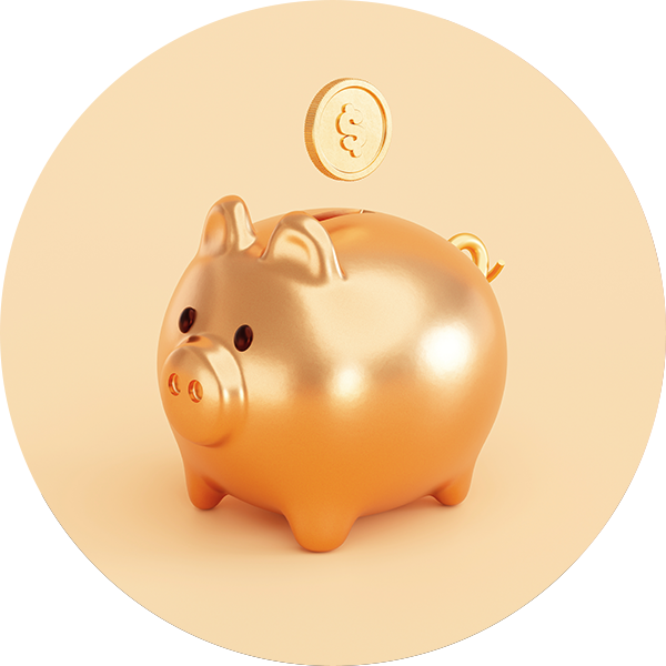 Žádné zbytečné náklady