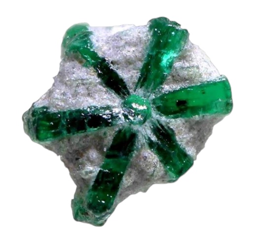 trapiche