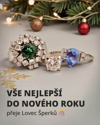 ✨🎆 Nový rok je o nových začátcích, přáních a momentech, které stojí za to uchovat. Děkujeme vám, že jste byli součástí...