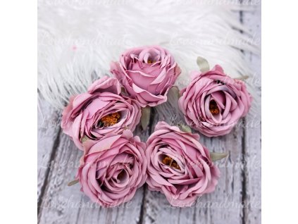 ruza diva ruzova photo2