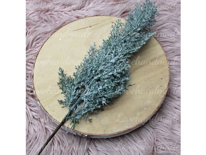 konar tuja zasnezeny 65cm