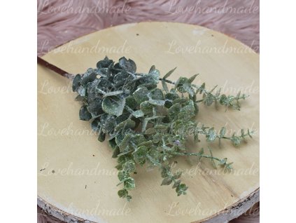 vetvicka zamrznuty eukalyptus