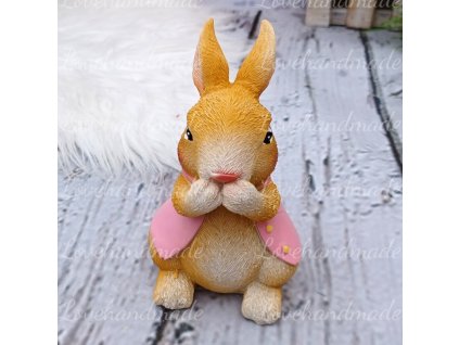 zajko v ruzovom photo2