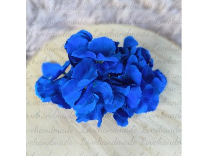 hortenzia kralovska modra hlavicka