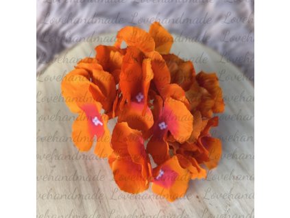 hortenzia oranzova hlavicka