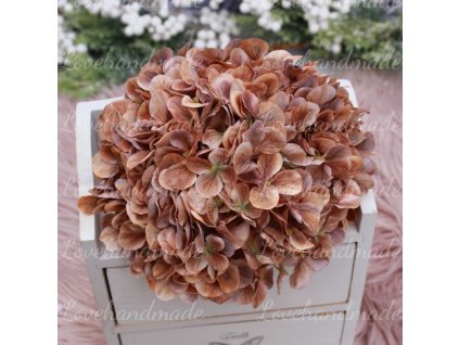 hortenzia deluxe hneda