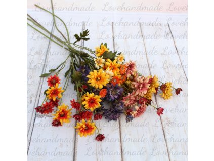 Jesenné kvety Margarétky mix farieb