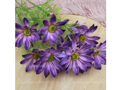 konar margaretky fialove