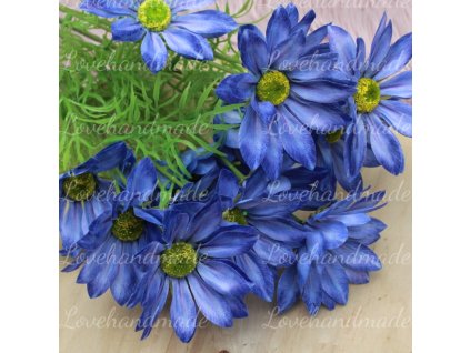 konar margaretky modra