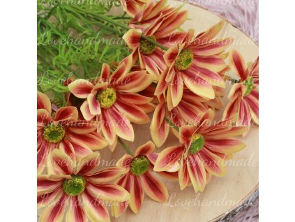 konar margaretky oranzova