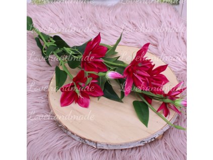 klematis cyklamenov2