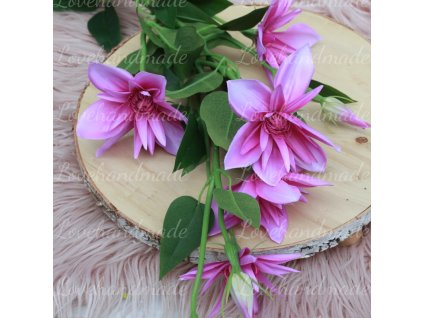 klematis fialovoruzov2