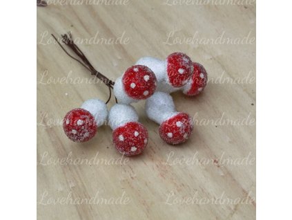 muchotravky zamrznute zvazok