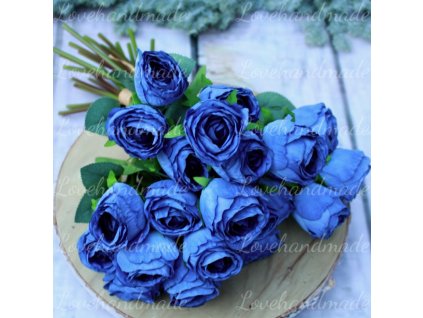 ruza suseny vzhlad tmavomodra