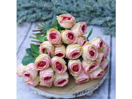 ruza suseny vzhlad ruzovokremova 2