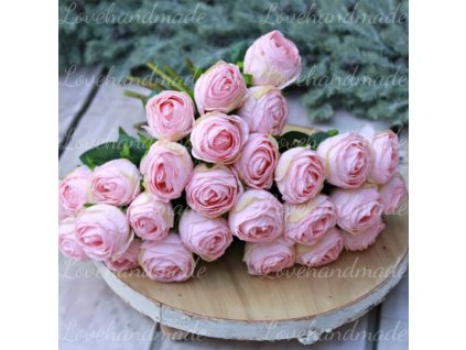 ruza suseny vzhlad babypink 2