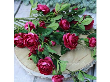 konar zahradna ruza burgundy 75cm 1