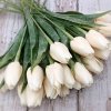 tulipan plast kremova