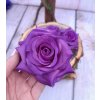 Ruža hlavička 8cm fialová
