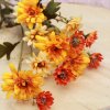 Jesenné kvety Margarétky mix farieb