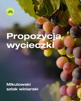 Pálava, winnice i UNESCO na jednej trasie. 🍇 Szlak winiarski w okolicy Mikulowa ma do zaoferowania więcej, niż się...